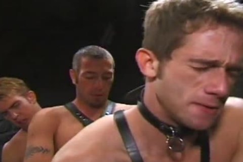 skankty Kyle Turned Up For bdsm gay Sex