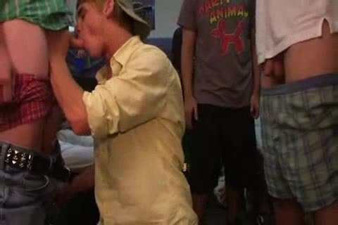 College teens sucking And plowing