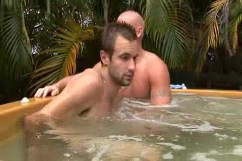 The fellow Of My Dreams