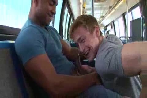 Interracial plow On Bus