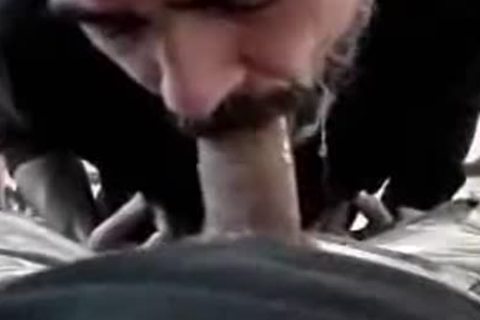 dom Carioca Esculachando O Coroa Barbudo