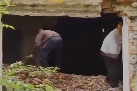 trio twink fuckfest On The Farm