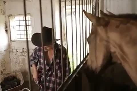 lustful boyz pound In Farm