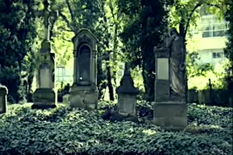 bound The lad From The Cemetery