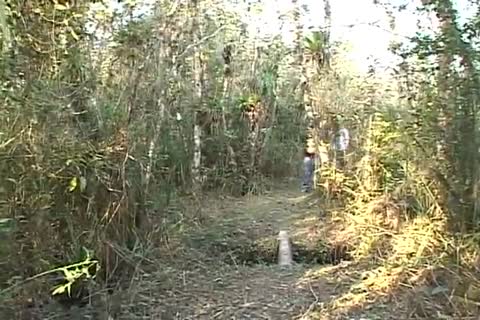 Latin lovers In The Woods - BC Productions