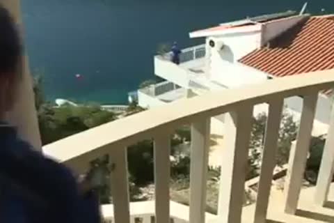 Males plowing At Poolside