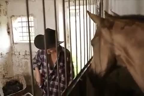 excited boyz nail In The Farm