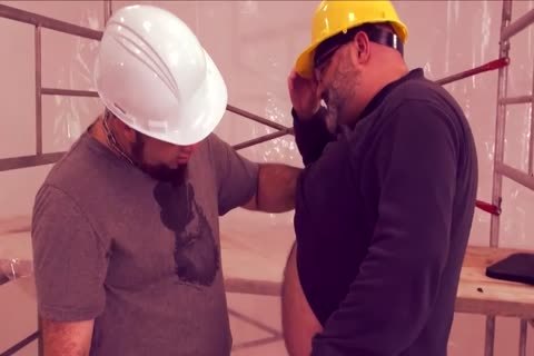 Working Bears