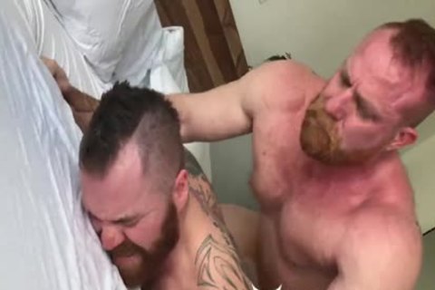 unprotected Bear's Breeding Zach & Eisen