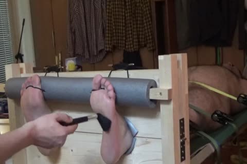 bare Bear Tickled In Stocks And On A Rack