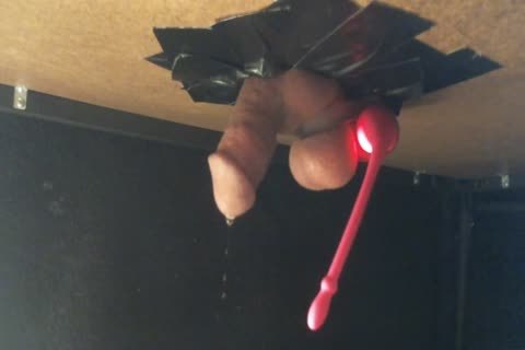 Hands-free Lush Teasing On cam