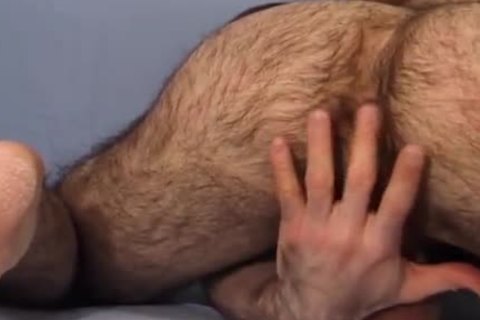 Very hirsute man Brad Jerks And Cums