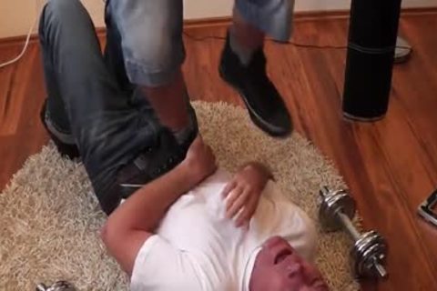 The Italian stud-horse master