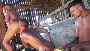 FalconStudios.com - Hairy Brandon Wilde tongue kissing