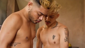 MOL - Marmita De Casal