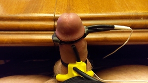 Estim cum Compilation