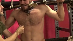thraldom Haircut And cook jerking