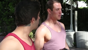 Men: Sunset Serenade: A Tale of Two Gays in Love