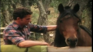 Falcon Studios: Saddle Up for a Slurp