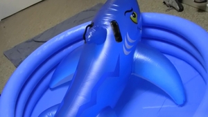 Dick Dorm: Willing and Wet: Guys Go Wild in Secret